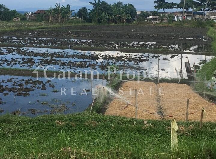 Beach Front Land at Saba, Gianyar