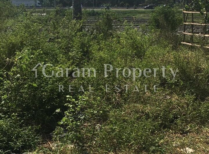 Beach Front Land at Saba, Gianyar