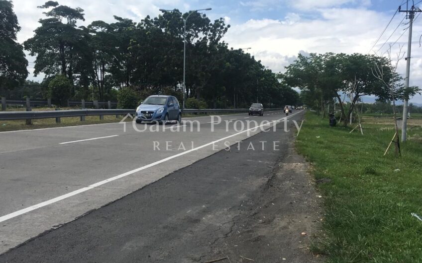 Beach Front Land at Saba, Gianyar