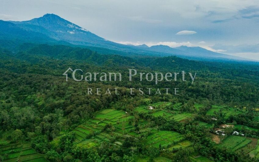 Rice Field Land at Tetebatu, East Lombok