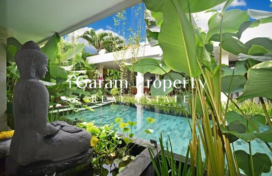 Stunning Villa for Lease in Kerobokan With Huge Land