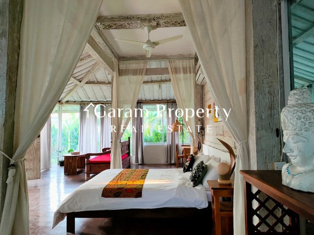 Spacious Villa for Lease in Sanur