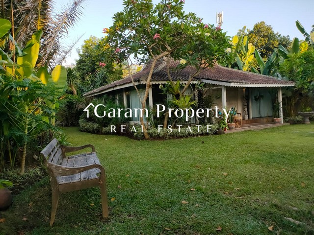 Spacious Villa for Lease in Sanur