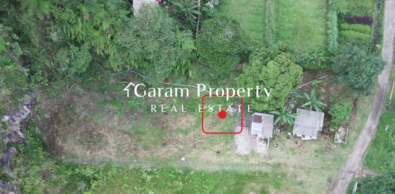 Huge Land for Sale in Baturiti