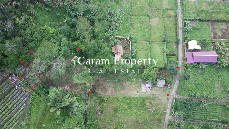 Huge Land for Sale in Baturiti