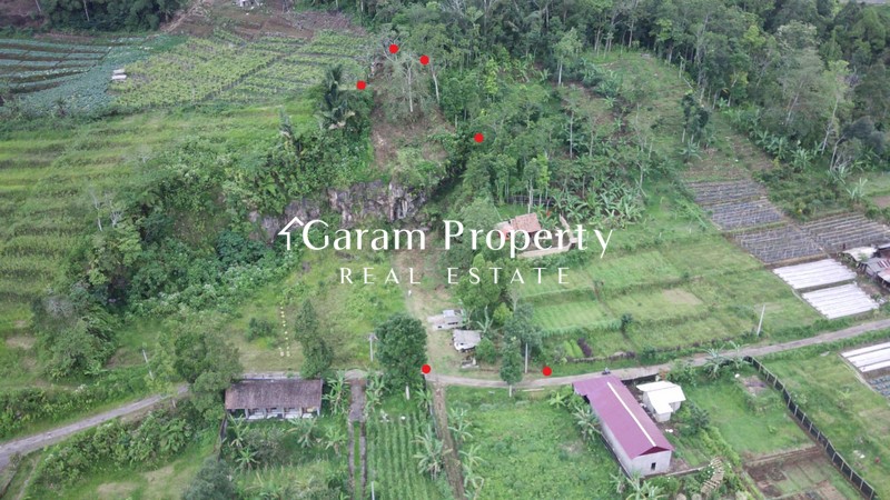 Huge Land for Sale in Baturiti