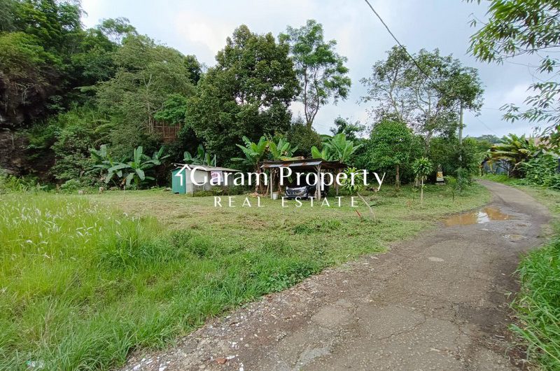 Huge Land for Sale in Baturiti