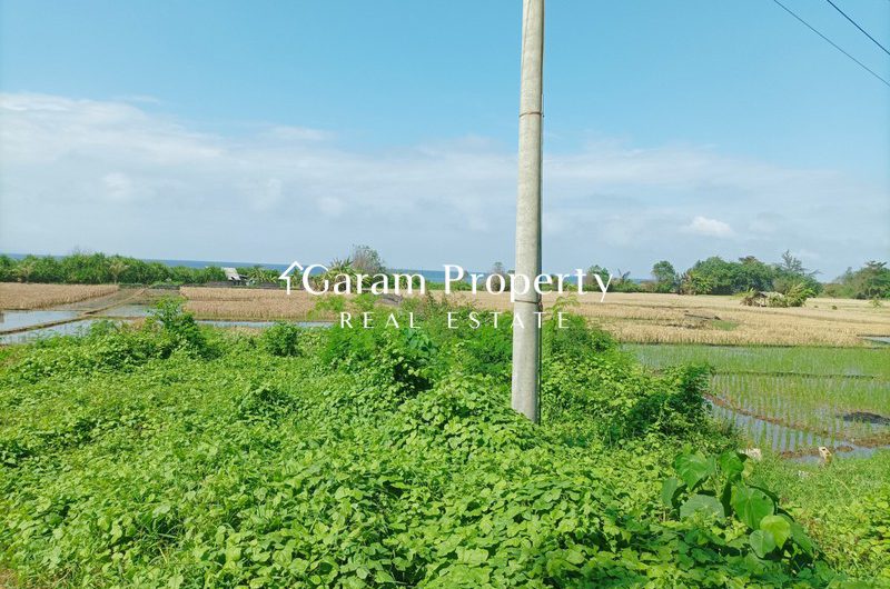 Strategic Land for Lease in Pantai Lebih