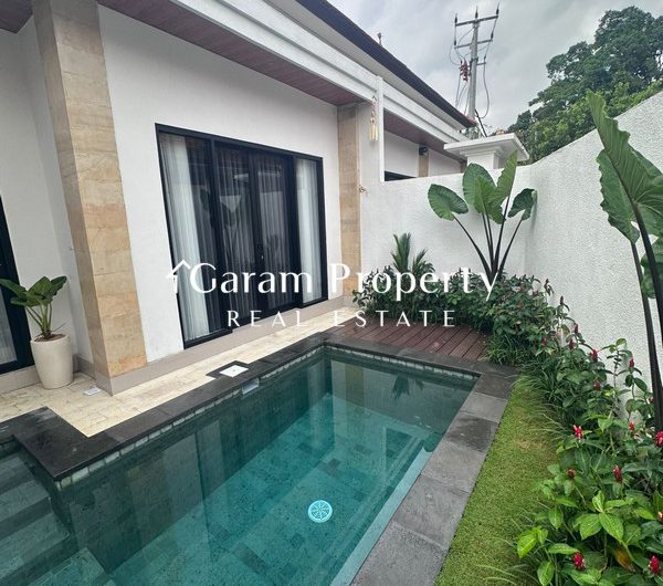 Brand New Villa for Lease in Buduk