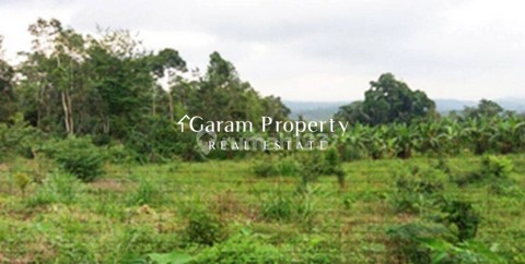 Best Deal Land for Sale in Pelaga!