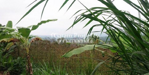 Best Deal Land for Sale in Pelaga!