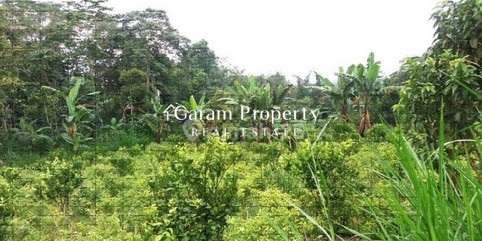 Best Deal Land for Sale in Pelaga!