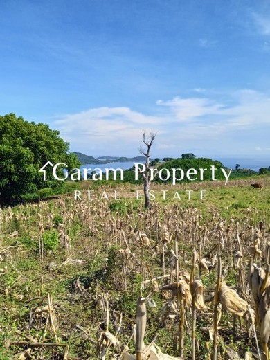 Ocean View Land for Sale in West Lombok!