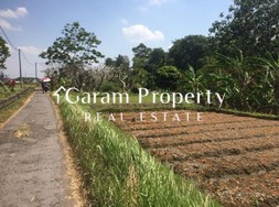 Strategic Land for Sale in Cekomaria!
