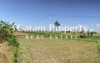 Strategic Land for Sale in Cekomaria!