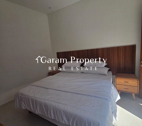 New Villa For Lease in Sanur!
