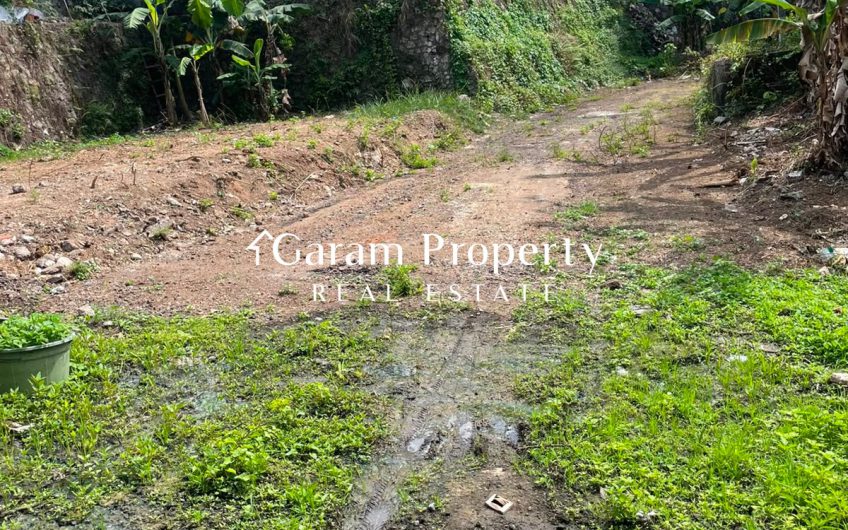Affordable Land for Sale in Mengwi!